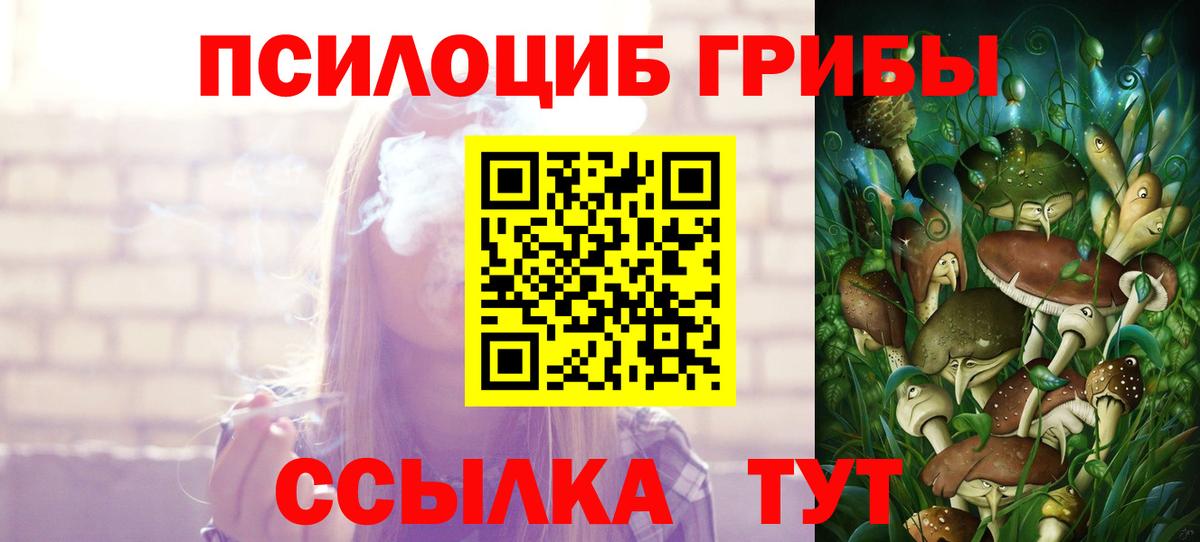Псилоцибиновые грибы Psilocybine cubensis Пушкино